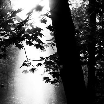 024_Project_Morgensonne_005