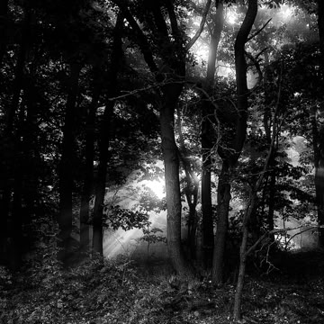 021_Project_Morgensonne_002