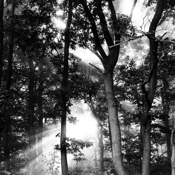 025_Project_Morgensonne_006