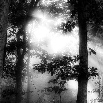 026_Project_Morgensonne_007