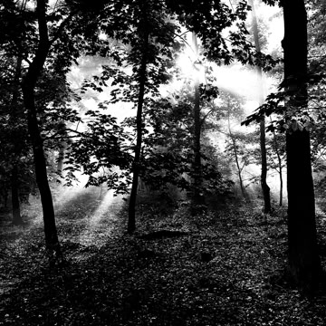 023_Project_Morgensonne_004